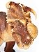 Safari S302729 Pachyrhinosaurus