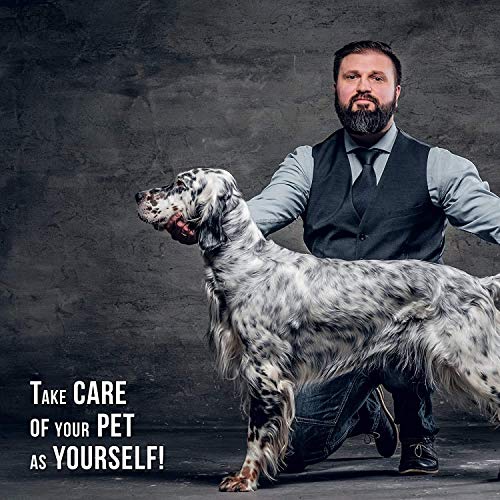 Professional Dog Grooming Steel Combs, Stainless Steel Dog Combs for Grooming, Greyhound Comb for Dogs Professional (Green)