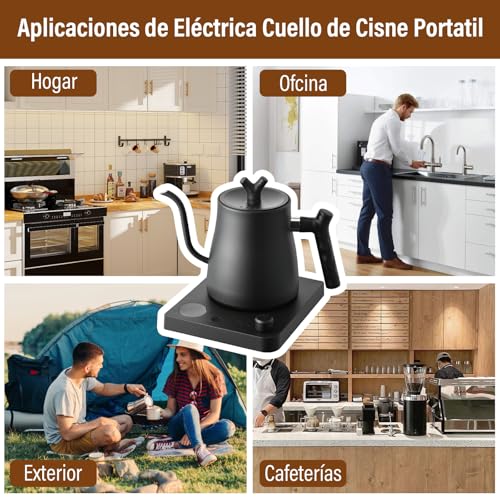 GALASALA Tetera Electrica de Cuello de Cisne de 1 L, Hervidor Agua Electrico de Acero Inoxidable 304, 800W de Calentamiento Rápido, Tetera Cuello de Cisne Portátil，con Apagado Automático