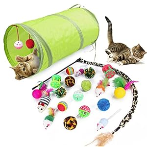 WeFine-Cat-Toys-21-Pcs-Kitten-Toys-Cat-Interactive-Toys-Set-for-Indoor-Cats WeFine Cat Toys 21 Pcs Kitten Toys Cat Interactive Toys Set for Indoor Cats