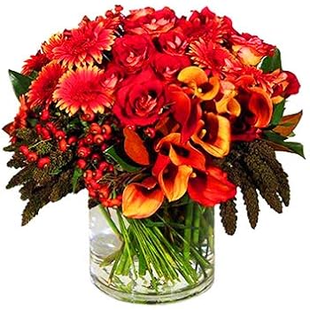 Amazon Com Cys Excel Glass Cylinder Vase Floating Candle Holder