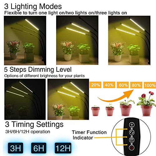 3 Elaine+Spectrum+Dimmable+Hydroponics+Succulent