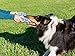Friends Forever Chewers Play Dog Rope Toy for Medium Dogs and Puppy, Teething, Tug War - Tough Dog Toys Set 7-Piece Assortment, Blue