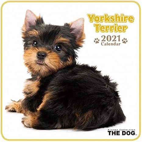 Amazon 21 年版 The Dog ヨーキーミニカレンダー可愛いシール付き アイドル 芸能人グッズ 通販