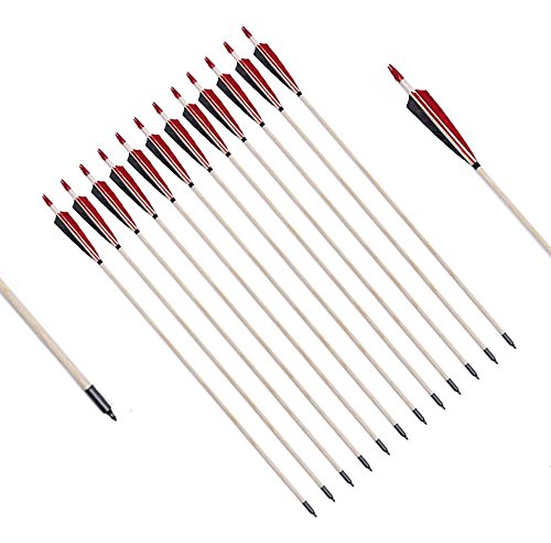 image for PG1ARCHERY Archery Target Arrows, 12 Pack Traditional Wooden Arrow Shi