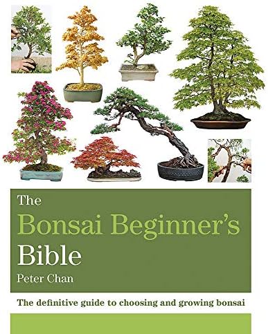 Bonsai Masterclass/All You Need to Know About Creating Bonsai from One of  the World's Top Experts: Chan, Peter: 9780806967639: Amazon.com: Books