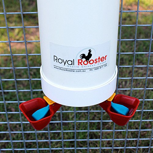 Royal Rooster Chicken Feeder and Waterer Set Includes 1 Gallon