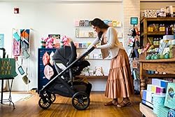 Cruz V2 Stroller - NOA