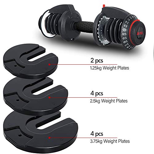 Merax Deluxe 55, 71.5 Pounds Adjustable Dumbbell, 5in1 Dumbbell 1555lb, 1171.5lb Adjustable