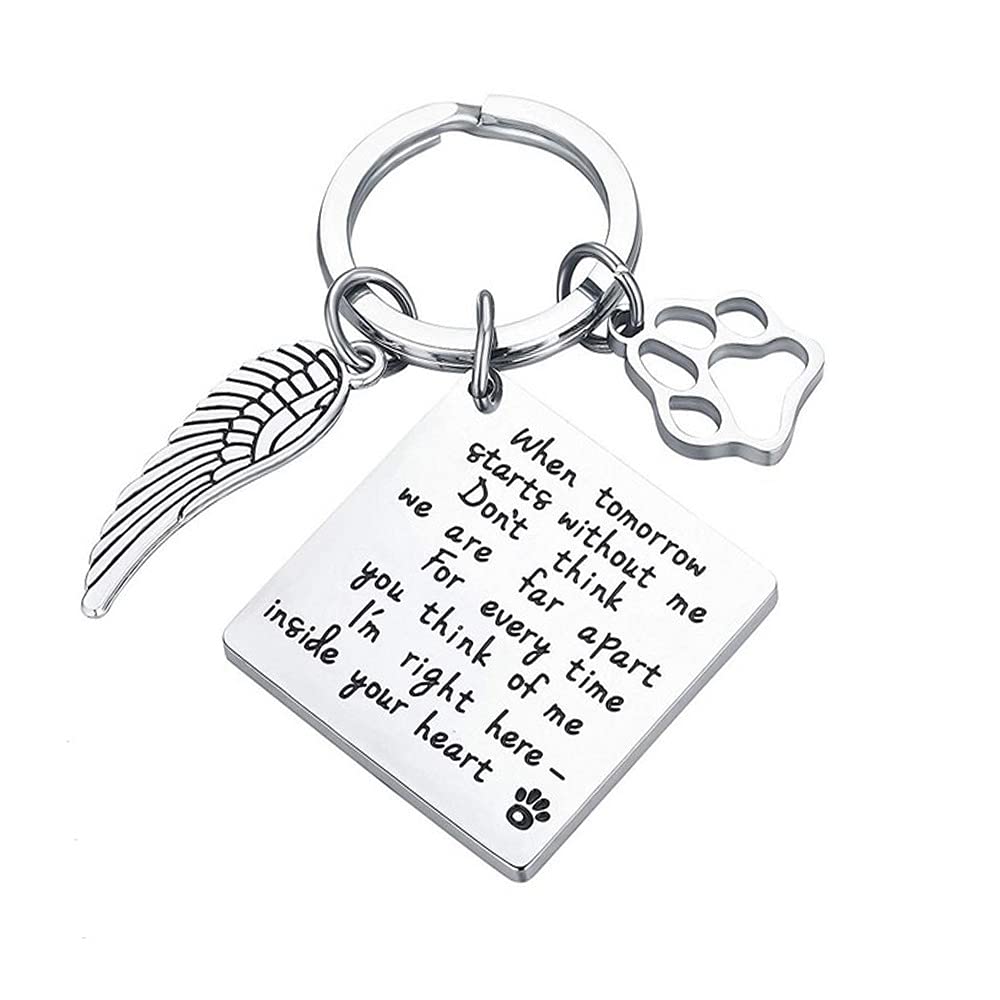 WANGCL Dog Memorial Gifts Bereavement Gifts Stainless Pet Paw Prints Key Ring Memorial Dog Key Ring With Box For Memory Of Lost Dog Pet Cat