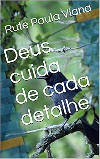 Livro Deus cuida de cada detalhe