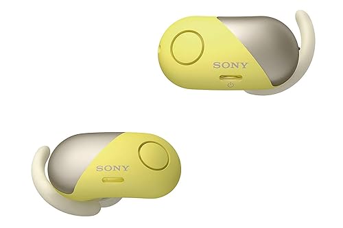 Sony Wireless Bluetooth in Ear Headphones: Noise Cancelling Sports