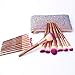 DIOLAN 17pcs Professional Makeup Brushes Set for Foundation Blending Blush Concealer Eye Shadow, Cruelty-Free Synthetic Fiber Bristles, Travel Makeup bag Included, Glitter Purple