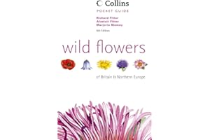 Wild Flowers of Britain and Northern Europe