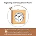 DELIWAY Non Ticking Wood Alarm Clock with Nightlight and Snooze/Ascending Sound Alarm/Simple to Set Clocks, Battery Powered (Beech Wood)