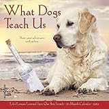 What Dogs Teach Us 2020 Mini Wall Calendar by 