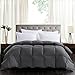 ROSECOSE Luxurious Medium Weight Goose Down Comforter Queen Size Duvet Insert All Seasons Hypo-allergenic 1200 Thread Count 750+ Fill Power 100% Cotton Shell Down Proof with Tabs Gray (Queen, Gray)