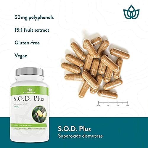 S.O.D. Superoxide Dismutase Supplement, 4,000 IU SODLike Activity