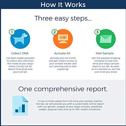 2019 mcdonald's lion king toys