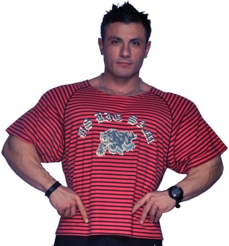 BIG SAM SPORTSWEAR COMPANY Bodybuilding Men's Ragtop Rag Top Sweater Gym T-Shirt 3008
