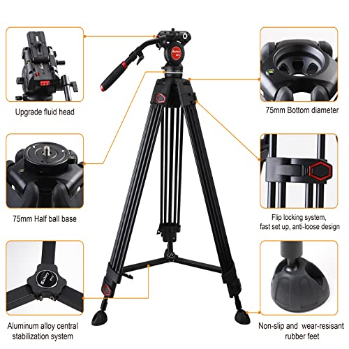 Professional Video Tripod 72 Inch Heavy Duty, 360 Degree Fluid Head and