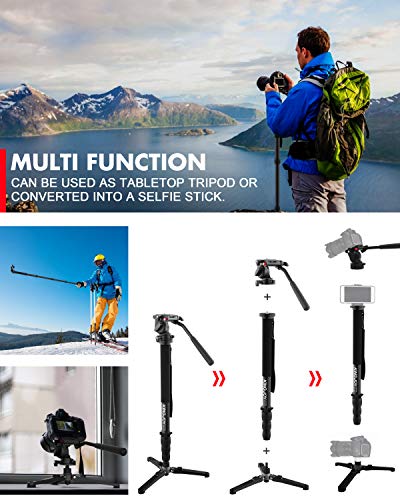 KINGJOY Video Monopod Kit, with Fluid Head and Removable Tripod Feet, 69 inch Max Height 22lbs Max Load for DSLR Cameras, MP3008+KH-6750