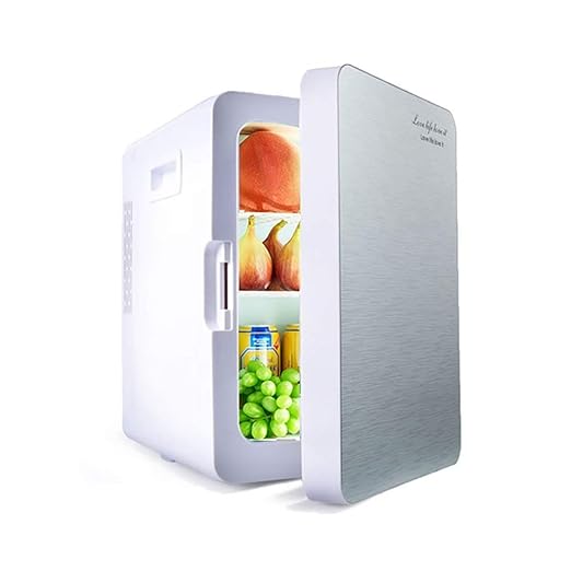 FDY 20 l Mini Nevera Más Fresco y más cálido, Compacto, portátil y ...