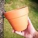 Allsum 12-Pack, Flower Pot Clips Klips Plant Holders Hangers Hooks, Strong Durable Hard Galvanized Steel for Indoor/Outdoor Plant Terra Cotta Clay Pot Garden Latch Hangers