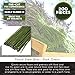 Juvale 200 Pieces 19 Gauge Dark Green Floral Stem Wire for DIY Crafts - Paper Wrapped Wire for Artificial Flower Arrangements - 16 in Flower Stems