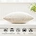 Kevin Textile Decorative Pillowcase Cushion Cover for Christmas Sofa Velvet Throw Pillow Case Available in 7 Colors & 4 Sizes Solid Color, 20 x 20 inch (50 x 50 cm), Set of 2, Cream
