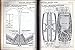 STAR TREK: Star Fleet Technical Manual, Training Command Star Fleet Academy (TM:379260)