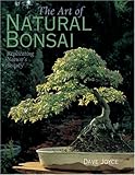 The Art of Natural Bonsai: Replicating Nature's Beauty