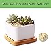 IHUIXINHE Bamboo Plant Saucer Round Plant Pot Tray Indoor Outdoor Plants, Set of 6 (Square)thumb 2