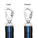 Dog Leash, Itery Reflective Dog Leash Pet Safety Walking and Trainning Leash 6 Feet Length 1 Inch Width (Blue)