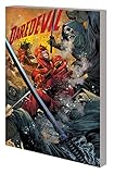 DAREDEVIL & ELEKTRA BY CHIP ZDARSKY VOL. 1: THE RED