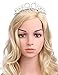 BABEYOND Crystal Birthday Tiara Crown Princess Birthday Crown Hair Accessories Happy 90th Birthday Crown Tiara for Women (90 Birth)