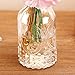 MyGift Set of 3 Antique-Style Clear Glass Embossed Apothecary Bottles with Cork Lids