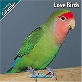 Love Birds 2010 Wall Calendar by 