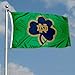 College Flags & Banners Co. Irish Shamrock Banner Flag