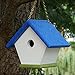 HomePro Garden Hanging Wren House: Brilliant Blue and Green Poly Lumber Bird House