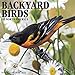 Backyard Birds 2020 Wall Calendar by 