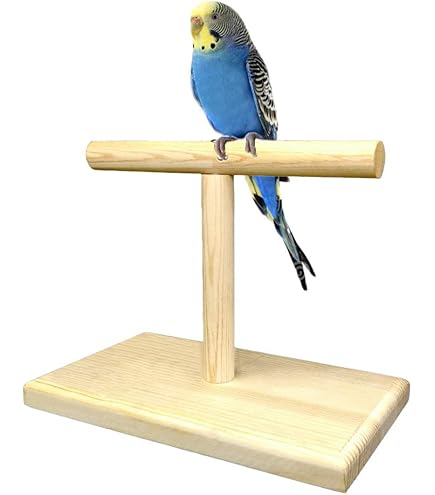 Cunno 3-Piece Bird Training Stand Kit - Wooden Perch, Clicker & Target Stick For Parrots