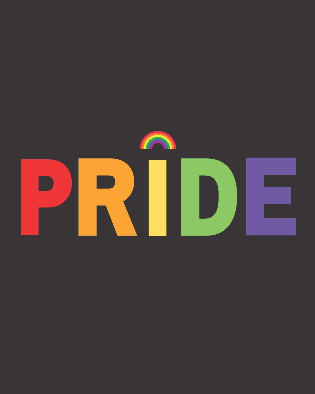 rainbow with black background on Pride Lgbtq 18 Month Weekly And Monthly Planner With Rainbow Letters On Black Background Lincoln Press 9781073358472 Amazon Com Books