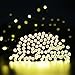 Lalapao Battery Operated 200 LED String Lights Fairy Christmas Outdoor Lighting Decor Lights with Automatic Timer for Outside Indoor Garden Patio Lawn Outside Home Xmas Tree Decorative (Warm White)
