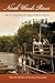 North Woods River: The St. Croix River in Upper Midwest History (Wisconsin Land and Life) by