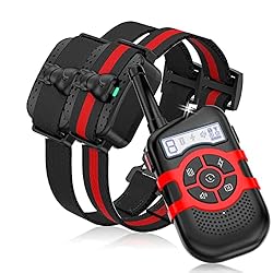 Lalolee Dog Training Collar, 2 Receiver IPX7