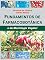 Livro Fundamentos de Farmacobotânica e de Morfologia Vegetal (eBook)