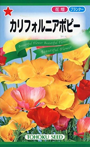 株式会社トーホク 100 品質保証 カリフォルニアポピー