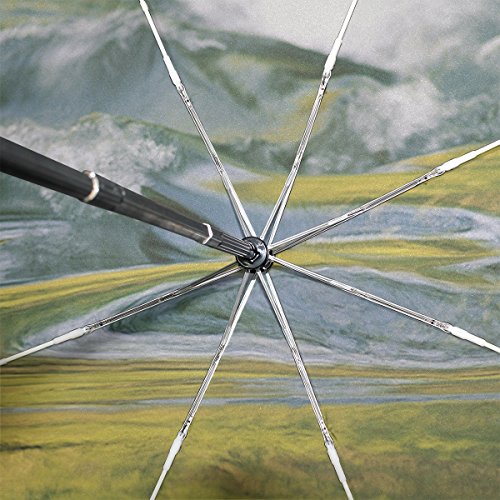 Full Automatic Portable Folding Rainy Umbrella Women Men Windproof Umbrella Printing Parapluie Paraguas