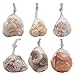 Seashells Mixed Bag of 200 Assorted Piece Bulk Pack for Home Kitchen Offices Indoors and Outdoors Wedding Baby Shower Birthday Summer Beach Nautical Theme Kids Party Favor Craft Supplies Décor